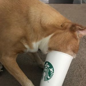 Meet your Posher, Kjartan